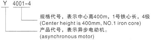 西安泰富西玛Y系列(H355-1000)高压YE2-200L1-6三相异步电机型号说明