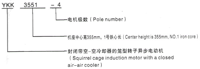 YKK系列(H355-1000)高压YE2-200L1-6三相异步电机西安泰富西玛电机型号说明